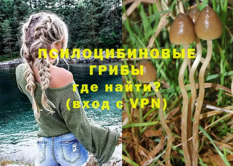 Галлюциногенные грибы Psilocybine cubensis  где найти наркотики  маркетплейс наркотические препараты  Белый 